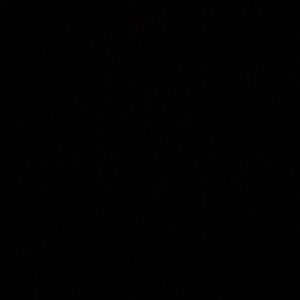 Meet your Posher, Conor